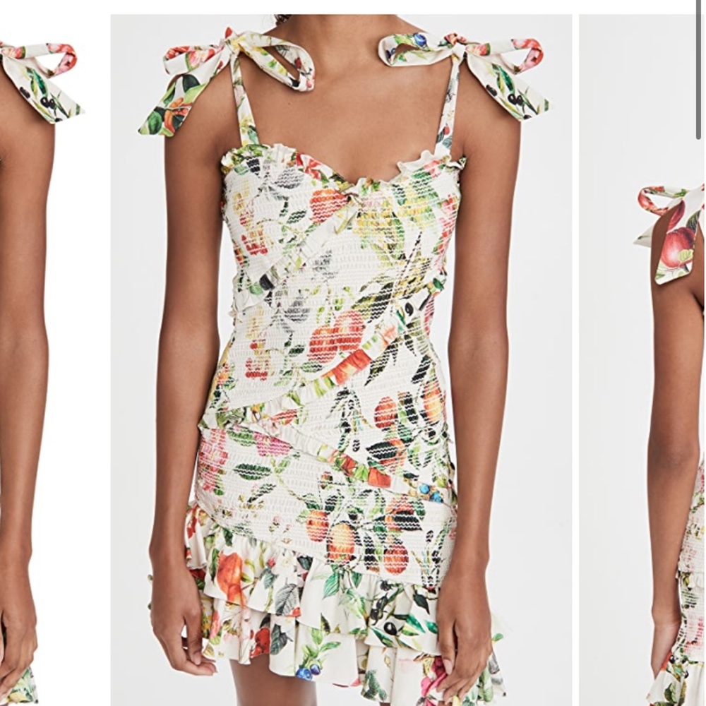 Rococo sand floral and fruit mini dress size XS sold out everywhere NWOT